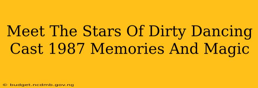 Meet The Stars Of Dirty Dancing Cast 1987 Memories And Magic