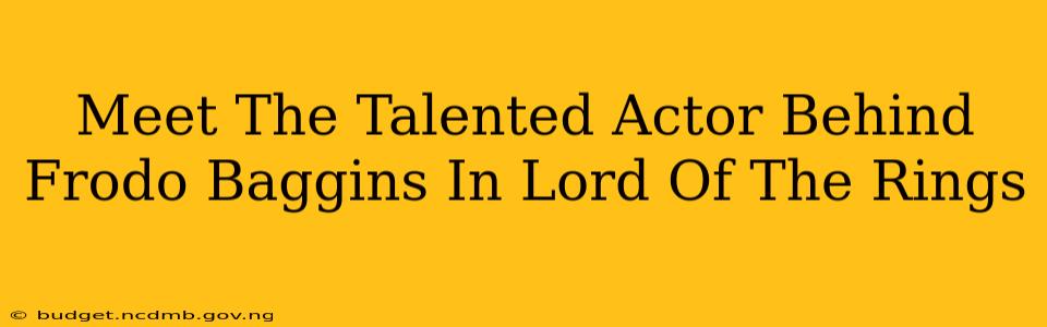 Meet The Talented Actor Behind Frodo Baggins In Lord Of The Rings