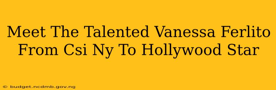 Meet The Talented Vanessa Ferlito From Csi Ny To Hollywood Star