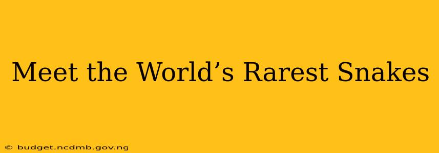 Meet the World’s Rarest Snakes