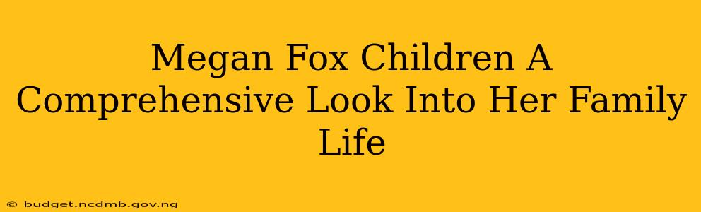 Megan Fox Children A Comprehensive Look Into Her Family Life