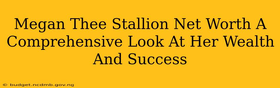 Megan Thee Stallion Net Worth A Comprehensive Look At Her Wealth And Success