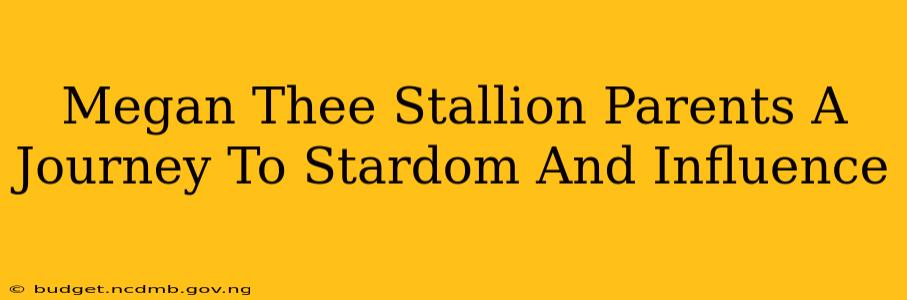 Megan Thee Stallion Parents A Journey To Stardom And Influence