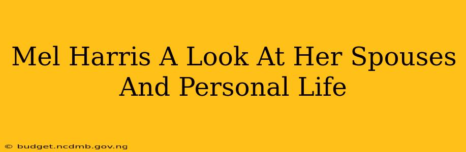 Mel Harris A Look At Her Spouses And Personal Life