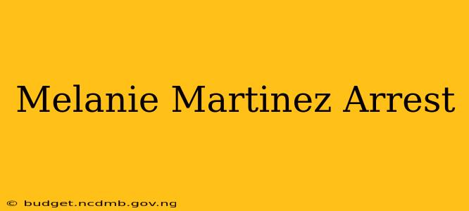 Melanie Martinez Arrest