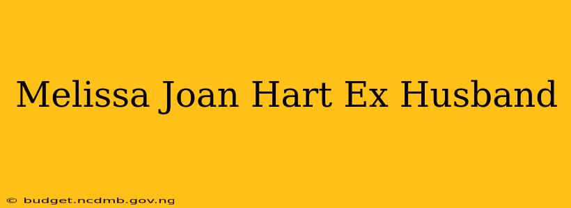 Melissa Joan Hart Ex Husband