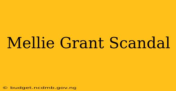 Mellie Grant Scandal
