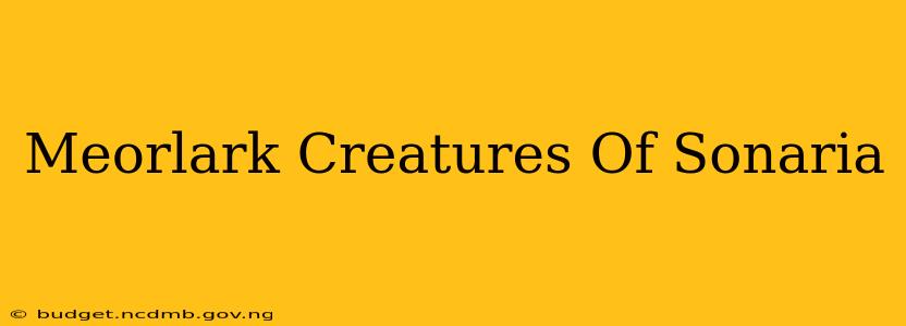 Meorlark Creatures Of Sonaria