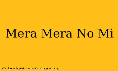Mera Mera No Mi