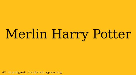 Merlin Harry Potter