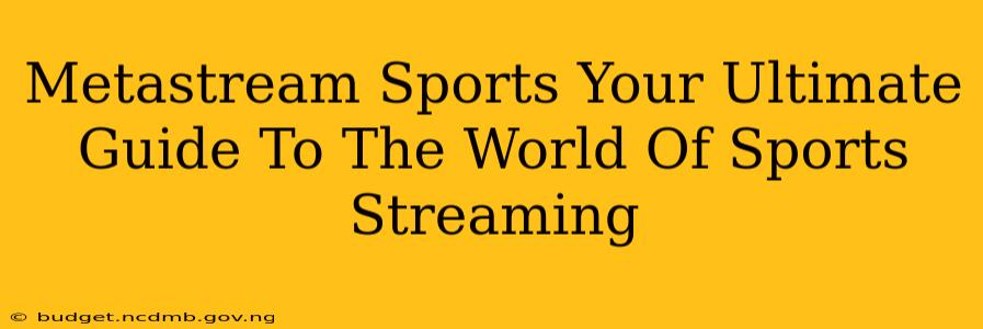 Metastream Sports Your Ultimate Guide To The World Of Sports Streaming