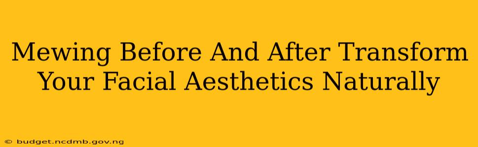 Mewing Before And After Transform Your Facial Aesthetics Naturally