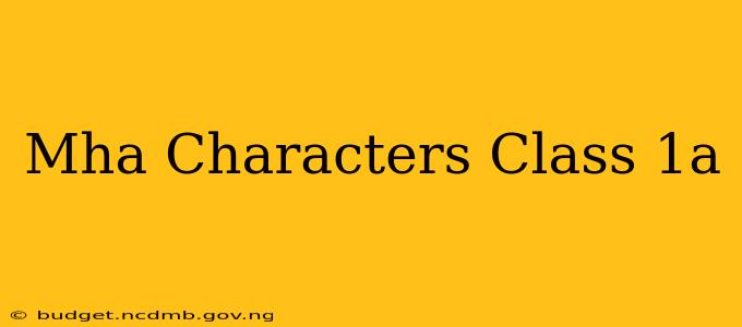 Mha Characters Class 1a