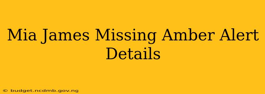 Mia James Missing Amber Alert Details