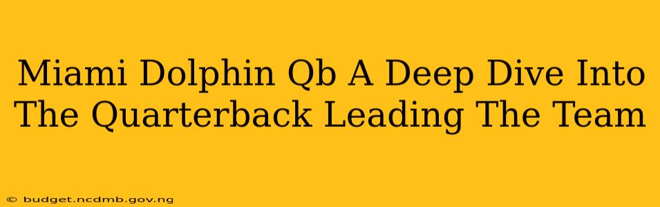 Miami Dolphin Qb A Deep Dive Into The Quarterback Leading The Team
