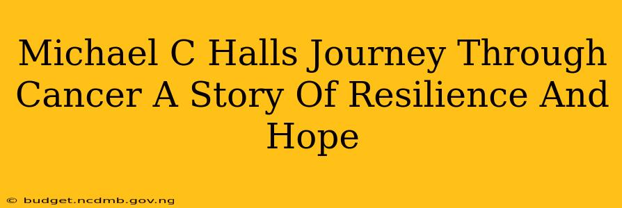 Michael C Halls Journey Through Cancer A Story Of Resilience And Hope