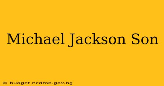 Michael Jackson Son