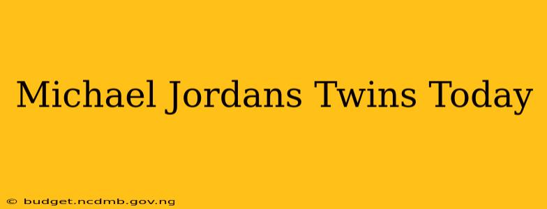 Michael Jordans Twins Today