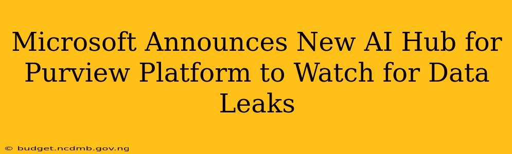 Microsoft Announces New AI Hub for Purview Platform to Watch for Data Leaks