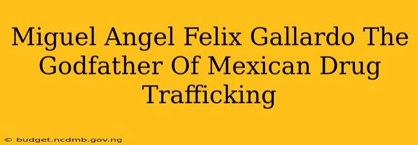 Miguel Angel Felix Gallardo The Godfather Of Mexican Drug Trafficking