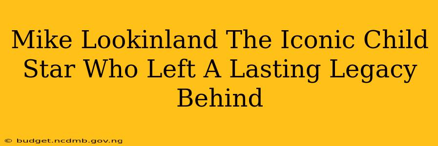Mike Lookinland The Iconic Child Star Who Left A Lasting Legacy Behind