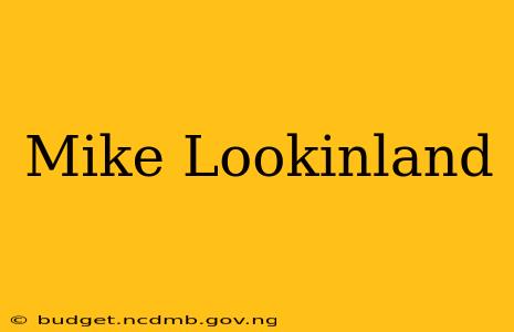 Mike Lookinland