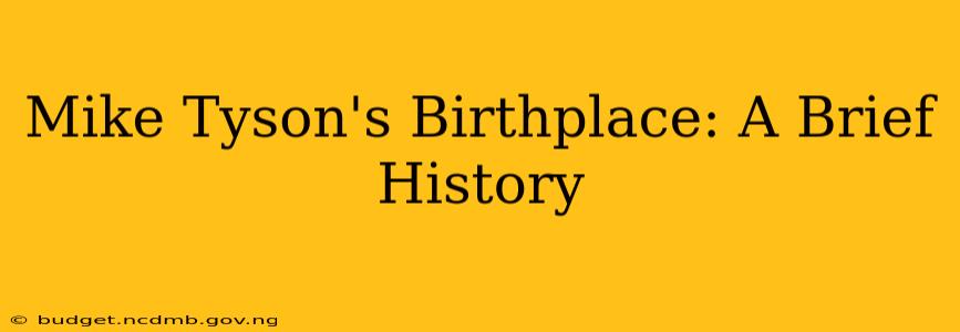 Mike Tyson's Birthplace: A Brief History