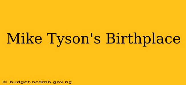 Mike Tyson's Birthplace