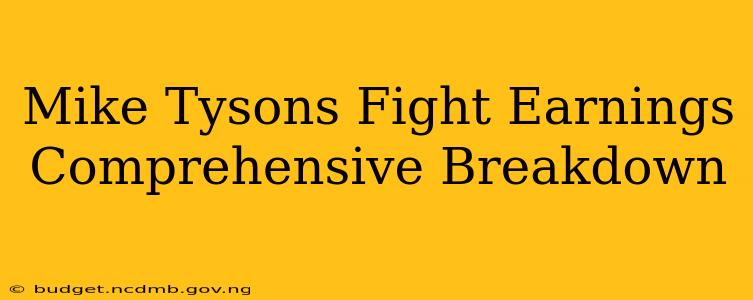 Mike Tysons Fight Earnings Comprehensive Breakdown