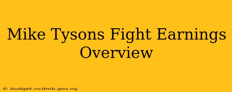 Mike Tysons Fight Earnings Overview