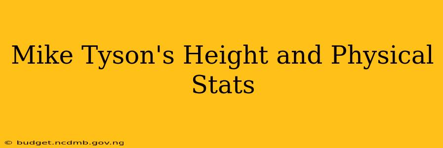 Mike Tyson's Height and Physical Stats
