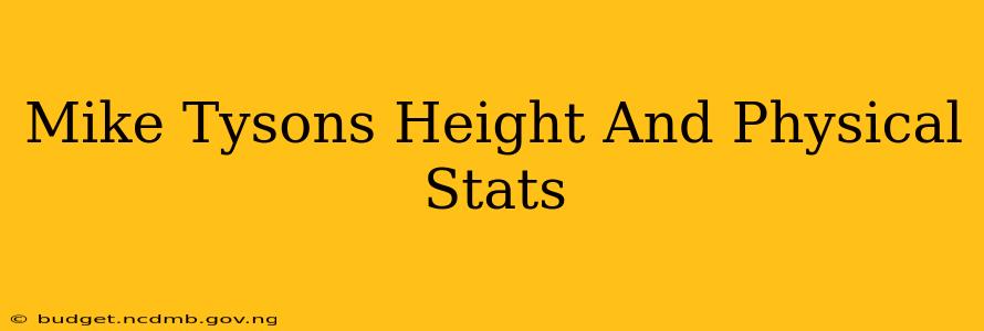 Mike Tysons Height And Physical Stats
