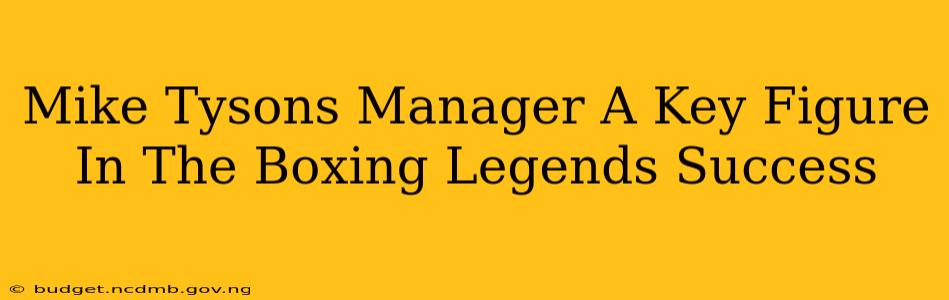 Mike Tysons Manager A Key Figure In The Boxing Legends Success