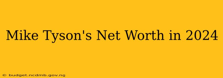 Mike Tyson's Net Worth in 2024