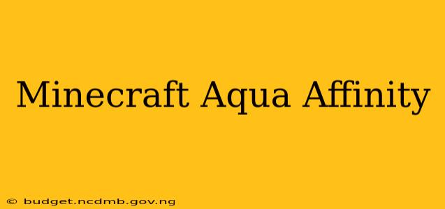 Minecraft Aqua Affinity