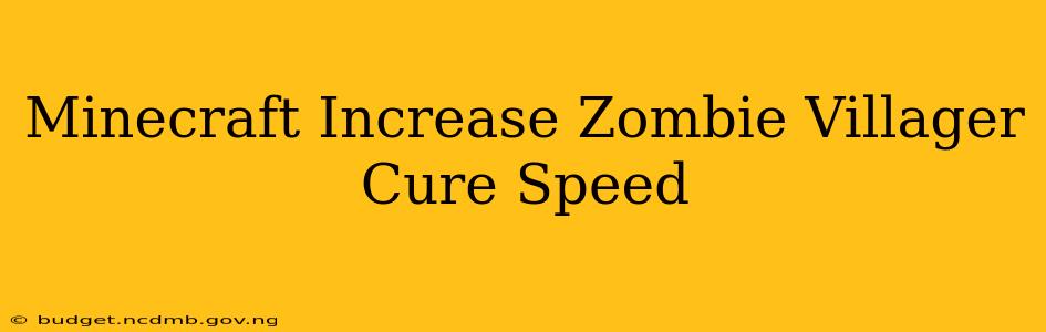Minecraft Increase Zombie Villager Cure Speed