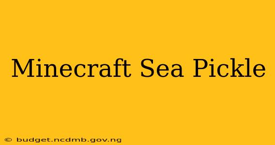 Minecraft Sea Pickle