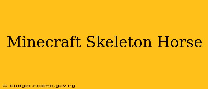 Minecraft Skeleton Horse
