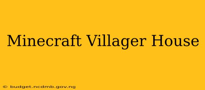 Minecraft Villager House