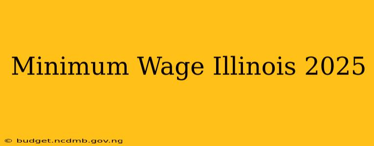 Minimum Wage Illinois 2025