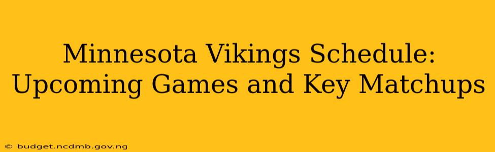 Minnesota Vikings Schedule: Upcoming Games and Key Matchups