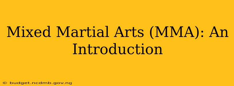 Mixed Martial Arts (MMA): An Introduction