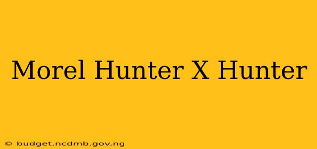 Morel Hunter X Hunter