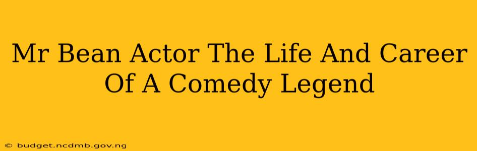 Mr Bean Actor The Life And Career Of A Comedy Legend