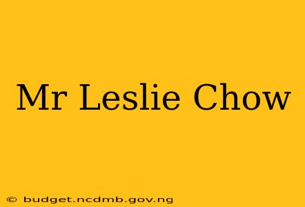 Mr Leslie Chow