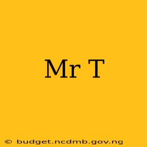 Mr T