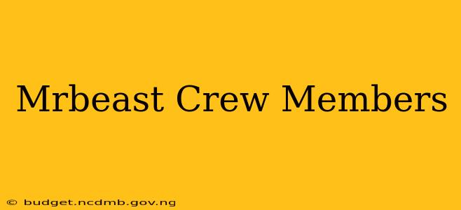 Mrbeast Crew Members