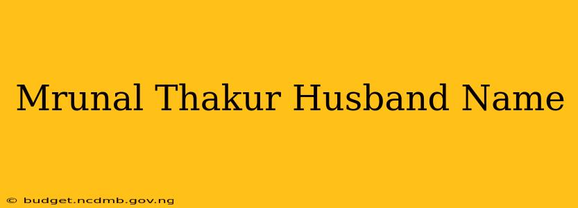 Mrunal Thakur Husband Name
