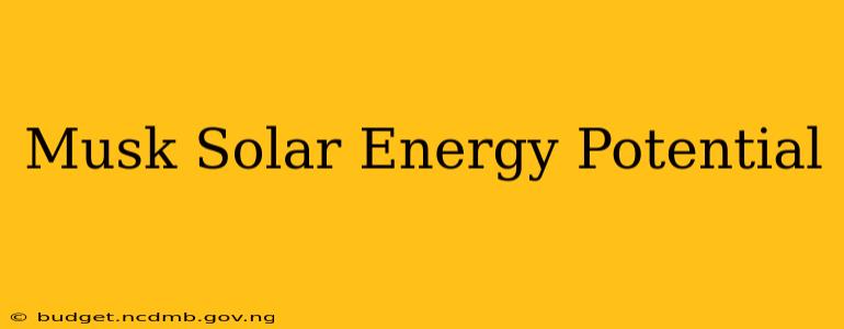 Musk Solar Energy Potential