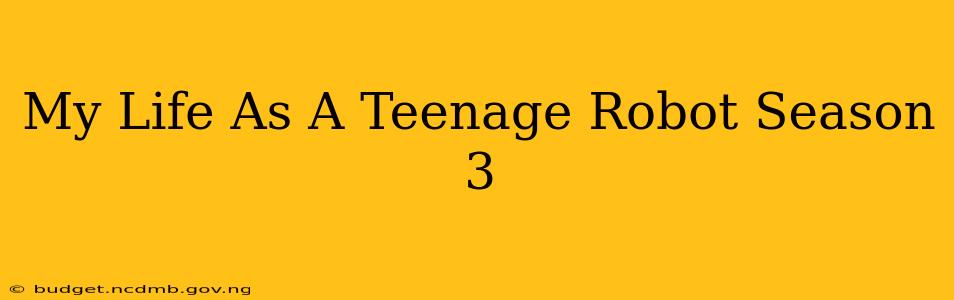 My Life As A Teenage Robot Season 3